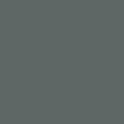 S6502-B - NCS -Pulverlack Polyester - glatt - glänzend
