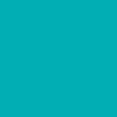 S2040-B30G - NCS -Pulverlack Polyester - glatt - glänzend