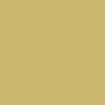 S2030-G80Y - NCS -Pulverlack Polyester - glatt - glänzend