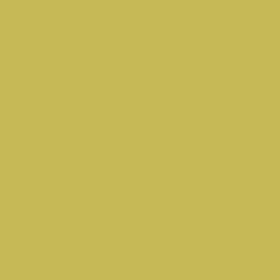 S2040-G70Y - NCS -Pulverlack Polyester - glatt - glänzend