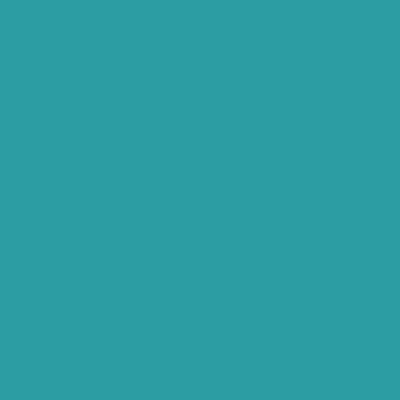 S3030-B10G - NCS -Pulverlack Polyester - glatt - glänzend