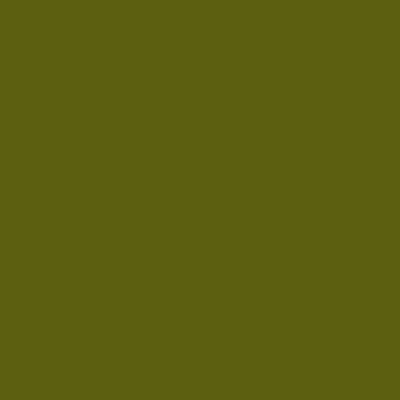 S5540-G50Y - NCS -Pulverlack Polyester - glatt - glänzend