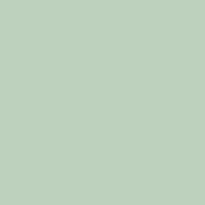 S1510-G - NCS -Pulverlack Polyester - glatt - glänzend