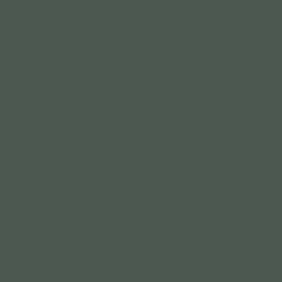 S7005-B80G - NCS -Pulverlack Polyester - glatt - glänzend