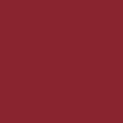 S5040-G90Y - NCS -Pulverlack Polyester - glatt - glänzend