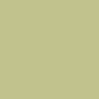 S2020-G60Y - NCS -Pulverlack Polyester - glatt - glänzend