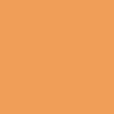 S2040-B - NCS -Pulverlack Polyester - glatt - glänzend