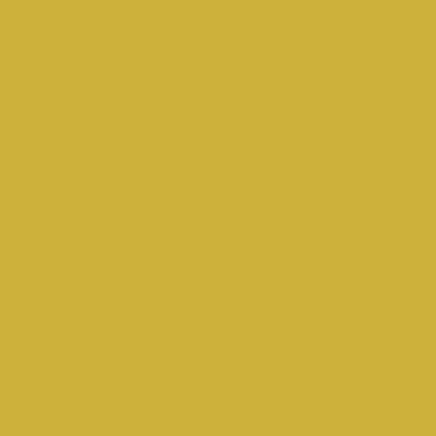 S2050-G80Y - NCS -Pulverlack Polyester - glatt - glänzend
