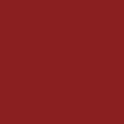 S4550-Y80R - NCS -Pulverlack Polyester - glatt - glänzend