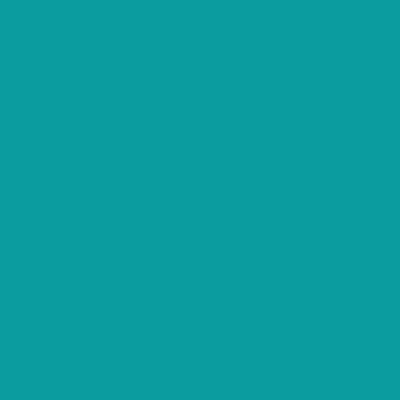 S3030-B30G - NCS -Pulverlack Polyester - glatt - glänzend