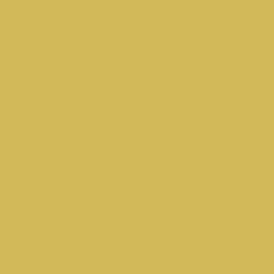 S2040-G80Y - NCS -Pulverlack Polyester - glatt - glänzend