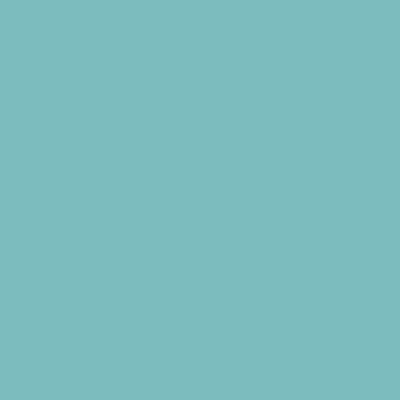 S2020-B30G - NCS -Pulverlack Polyester - glatt - glänzend