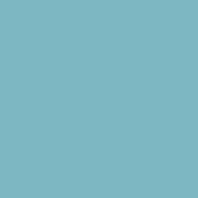 S2020-B - NCS -Pulverlack Polyester - glatt - glänzend