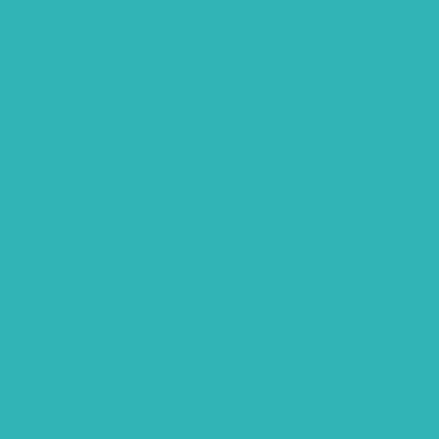 S2030-B30G - NCS -Pulverlack Polyester - glatt - glänzend