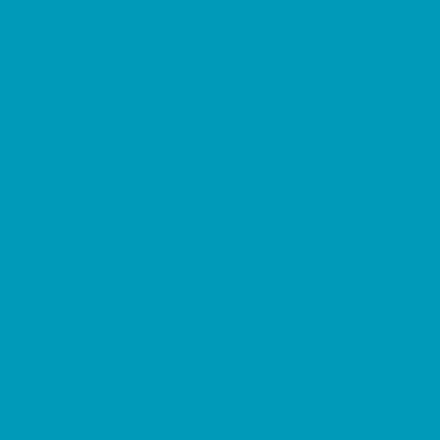 S2050-B - NCS -Pulverlack Polyester - glatt - glänzend