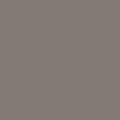 S5502-R - NCS -Pulverlack Polyester - glatt - glänzend