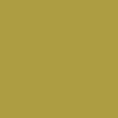 S3040-G70Y - NCS -Pulverlack Polyester - glatt - glänzend