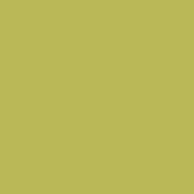 S2040-G60Y - NCS -Pulverlack Polyester - glatt - glänzend