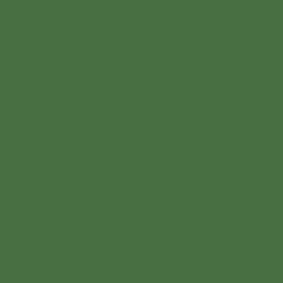 S5030-G10Y - NCS -Pulverlack Polyester - glatt - glänzend