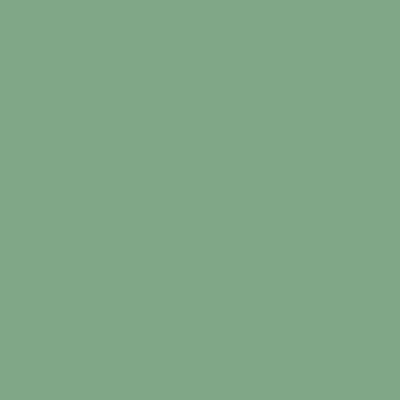 S3020-G10Y - NCS -Pulverlack Polyester - glatt - glänzend