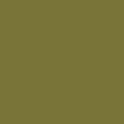 S5030-G50Y - NCS -Pulverlack Polyester - glatt - glänzend