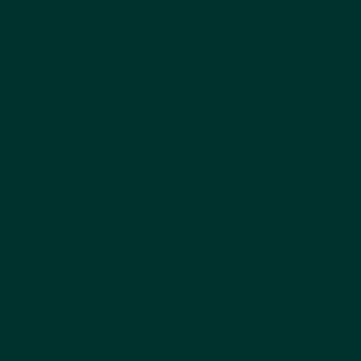 S8010-B50G - NCS -Pulverlack Polyester - glatt - glänzend