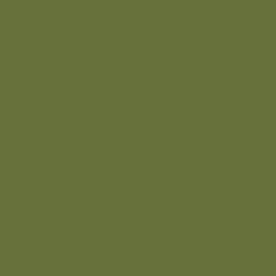 S5030-G30Y - NCS -Pulverlack Polyester - glatt - glänzend