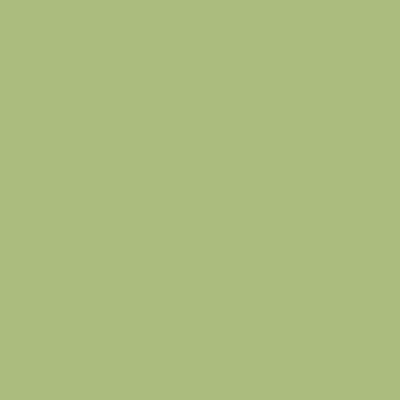S2030-G30Y - NCS -Pulverlack Polyester - glatt - glänzend