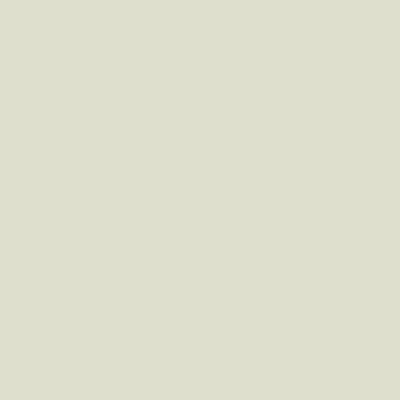 S1005-G40Y - NCS -Pulverlack Polyester - glatt - glänzend