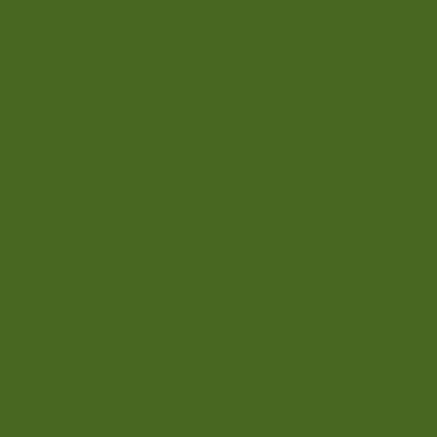 S5040-G30Y - NCS -Pulverlack Polyester - glatt - glänzend