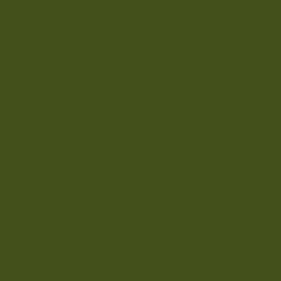 S6530-G10Y - NCS -Pulverlack Polyester - glatt - glänzend