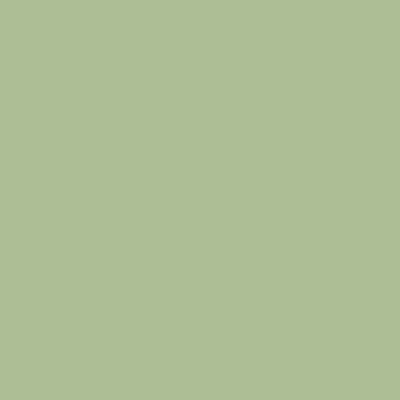 S2020-G30Y - NCS -Pulverlack Polyester - glatt - glänzend