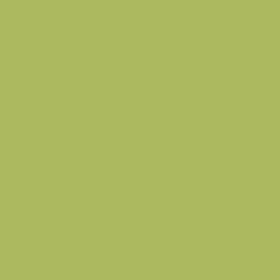 S2040-G50Y - NCS -Pulverlack Polyester - glatt - glänzend