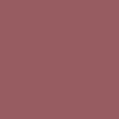S5020-R - NCS -Pulverlack Polyester - glatt - glänzend