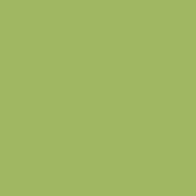 S2040-G40Y - NCS -Pulverlack Polyester - glatt - glänzend