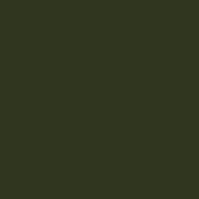 S8010-G30Y - NCS -Pulverlack Polyester - glatt - glänzend