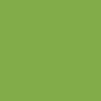 S2050-B80G - NCS -Pulverlack Polyester - glatt - glänzend