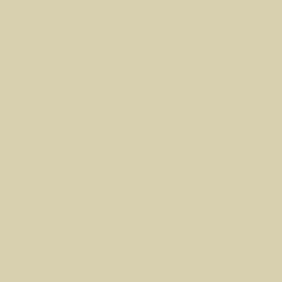 S1510-G80Y - NCS -Pulverlack Polyester - glatt - glänzend