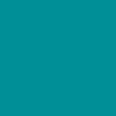 S2555-B30G - NCS -Pulverlack Polyester - glatt - glänzend