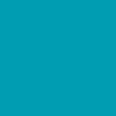 S2050-B10G - NCS -Pulverlack Polyester - glatt - glänzend