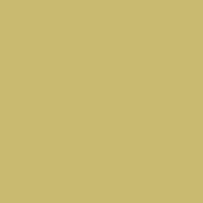 S2030-G70Y - NCS -Pulverlack Polyester - glatt - glänzend