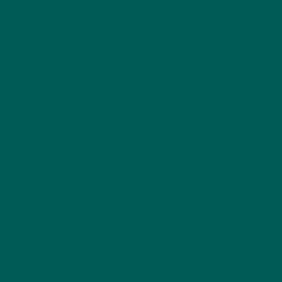 S5040-B50G - NCS -Pulverlack Polyester - glatt - glänzend