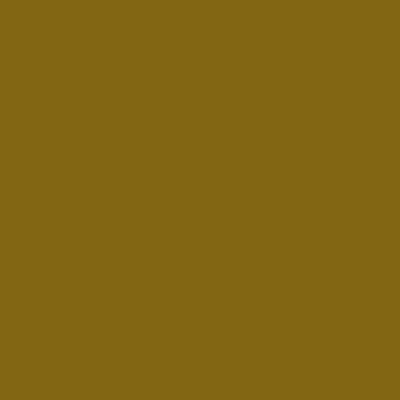 S5040-G80Y - NCS -Pulverlack Polyester - glatt - glänzend