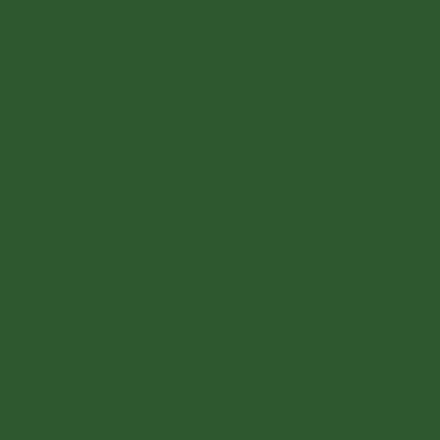 S6030-G10Y - NCS -Pulverlack Polyester - glatt - glänzend