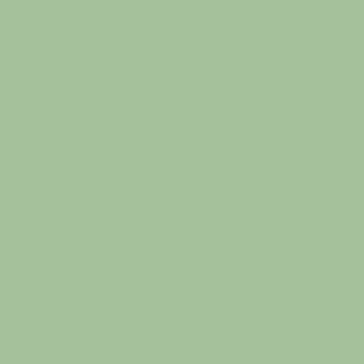 S2020-G20Y - NCS -Pulverlack Polyester - glatt - glänzend