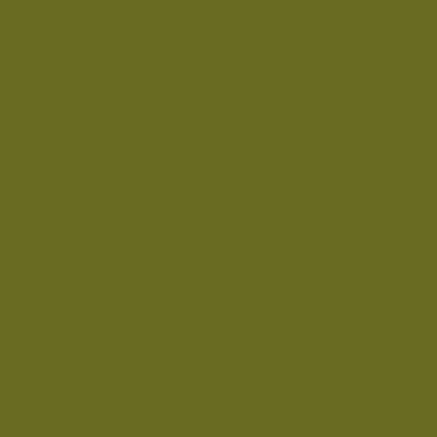 S5040-G50Y - NCS -Pulverlack Polyester - glatt - glänzend